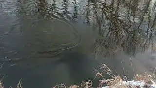 Wędkarstwo the best Świat Rega wędkarz i kaczka. 