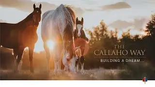 The Callaho Way | Building A Dream