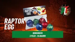 Test Articolo RAPTOR EGG 3 pezzi di BORGONOVO