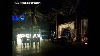 bee - HOLLYWOOD