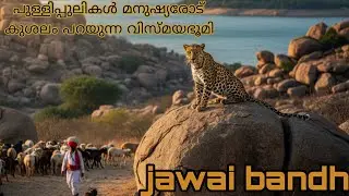 jawai bandh dam Jawai River📍 Sumerpur Rajasthan malayalam full details 