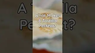 Flour Tortillas | Tips For a Perfect Tortilla