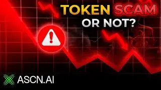 ASCN: Smart Contract Audit in 30 Seconds | Fast & Simple Token Security Check