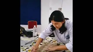 Pratikum Herbarium_Tanaman Checerus biflorus