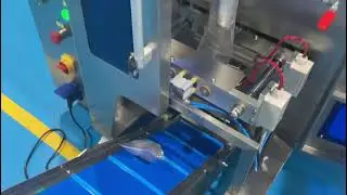 4pcs bolts washer nut counting bagging machine