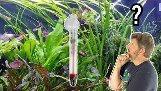 What is the BEST TEMPERATURE for my AQUARIUM?