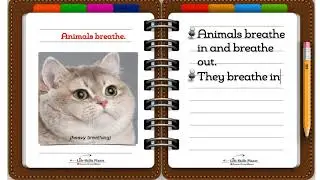 The Characteristics of Animals as Living Things