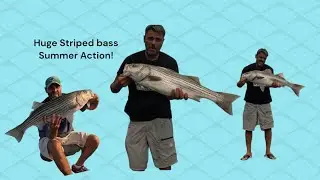 Huge Striper catch! Smith Mountain Lake Striped bass fishing with fishing tips 
