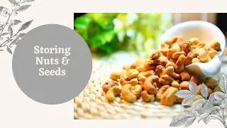 Storing Raw Organic Nuts & Seeds