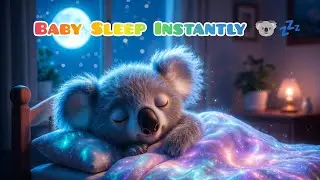 Koala Baby Lullaby 🌙 Deep Sleep Music for Newborns  Fall Asleep Instantly