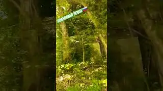 abandoned house overgrown #shorts #short #shortvideo #nature #travel