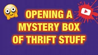Let&rsquo;s Open a Mystery Box of Thrift Stuff!! Haul Video!