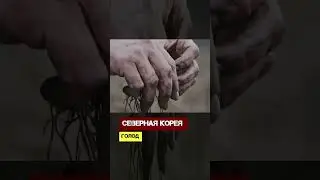 North Korea. Famine