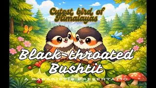 Black-throated Bushtit | Tiny Nomads of Pakistan&rsquo;s Himalayan Forests