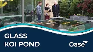 Backyard Glass Koi Pond Tour | Ancient Feng Shui Design | The Koi Partner & Koi Water Barn