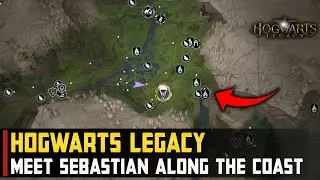 Meet Sebastian along the coast | Hogwarts Legacy (In the Shadow of the mountain)
