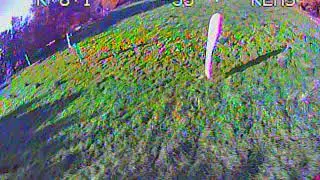 2306 runcam sparrow