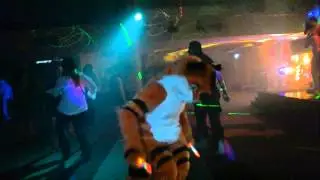 MiDFur 14 Dance