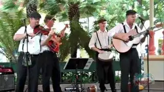 Sligo Rags performs at the Paradise Garden in the Disney California Adventure theme park