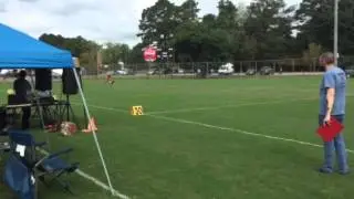 Beck & Macleod Score a 24.5 in Toss and Fetch