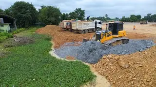 Watchful! Landfill Project with Dozer Shantui Pushing stone clearing & Dump truck 25.5Ton
