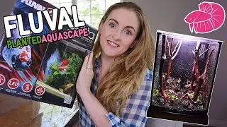 Forest Nano Aquascape (Dry Start) - Fluval Betta Premium Aquarium Kit Review