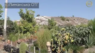 Крива Лука – село, яке має свій бренд