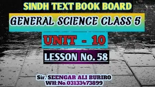 Meteoroids, Asteroids and comets | celestial bodies | General Science class 5 Unit 10