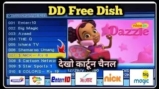 DD Free Dish Cartoon Channel 2023 | DD Free Dish New Cartoon Channel add | Nick Cartoon Network