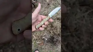 This Bark River Mini-Aurora Hunter is a small knife with huge potential #shortsvideo s