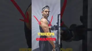 El SECRETO para unos Tr&iacute;ceps Gigantes (Press California) 🚀 #gymtips #tricepsworkout #brazosgrandes