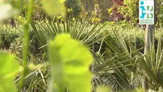 Creëer een Mediterrane tuin met de tips van Intratuin Halsteren!