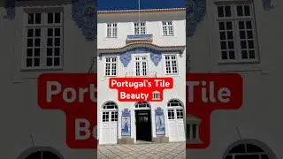 🏛️ Stunning Azulejos in Aveiro &ndash; Portugal&rsquo;s Tile Art 🎨
