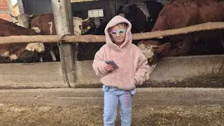 Nedeljni vlog 🧘‍♂️🐄🏗 Okolina je ošacovala brzo propadanje firmetine 😱🐄