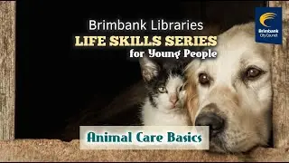 Young People Life Skills: Animal Care Basics 🐶🐈