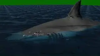 Jaws 3D Shark in Ocean Green screen Scene Scene VFX