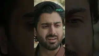 Aap Ka Khandan, Aapko Mubarak 🤫🤫 #shorts #ghulambashahsundri #pakistanidrama #greentv