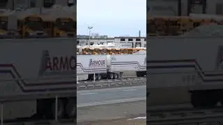 DOUBLE TRAILER TRUCK; Freightliner Armour Transport #shorts #freightliner #doubletrailer
