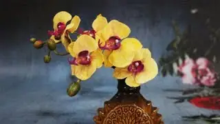 How to make a Moth Orchid sugar flower with Ashwini Sarabhai
