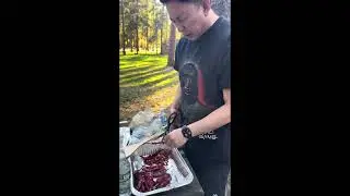 Mini vlog from the Taconic State Park #camping #vlog #NewYorkupstate #2025 #bhutaneseinnyc 