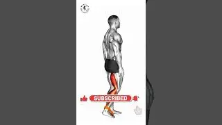 ➜ No More Excuses ➜ Full Body Long Resistance Band Workout