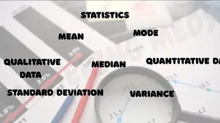 Statistics Basics Explained | Learn the Fundamentals