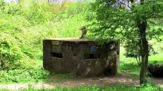 Salisbury Woodland at Stanley Park in Blackpool, Lancashire