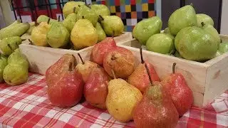 Las peras y sus variedades