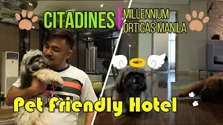 Pet Friendly Hotel CITADINES Millennium Ortigas Manila, PHILIPPINES