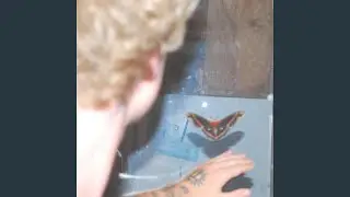 Why