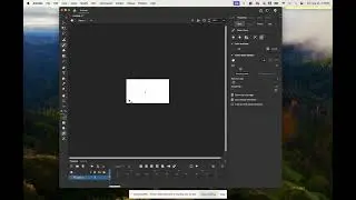 Getting Started With The Animate Workspace