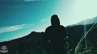 Elloz Tiger WONGI freestyle (Official VIDEO Visualizer..Dr by Elloz)