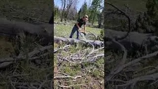 deliming big pine