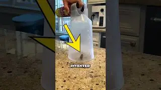 The Spray Chamber For Bugs